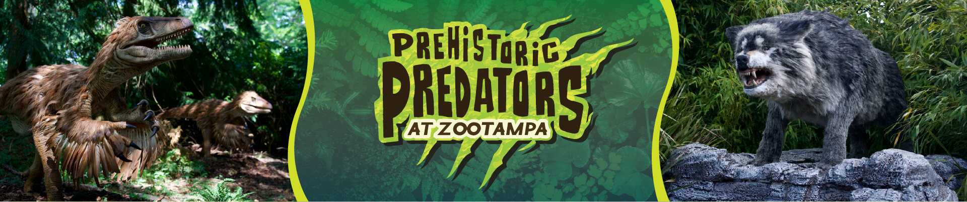 What's New at the Zoo? - ZooTampa at Lowry Park