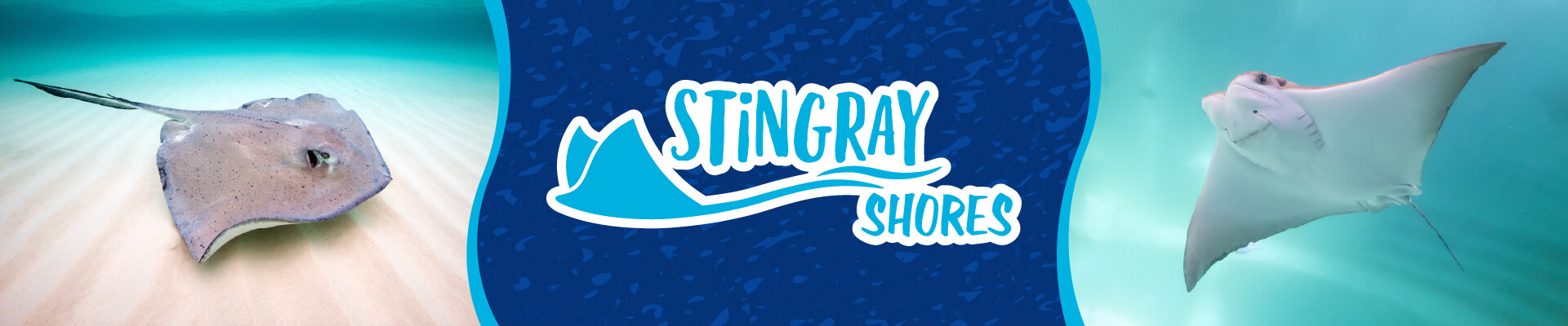 What's New at the Zoo? - ZooTampa at Lowry Park