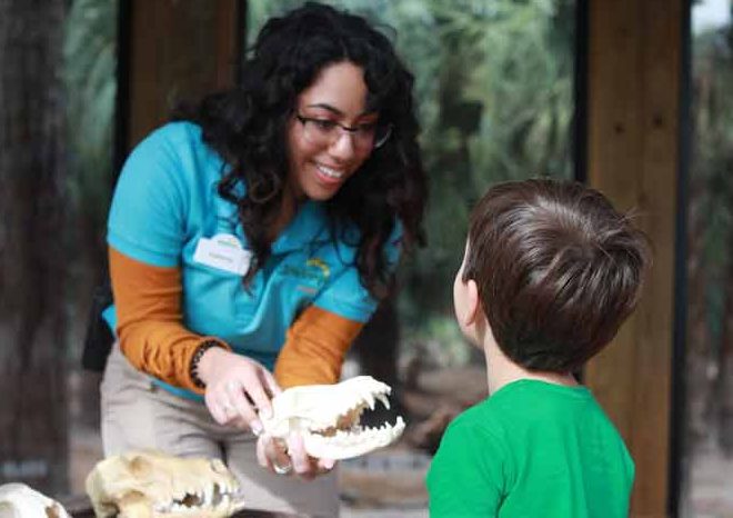 Careers and Internships - ZooTampa at Lowry Park