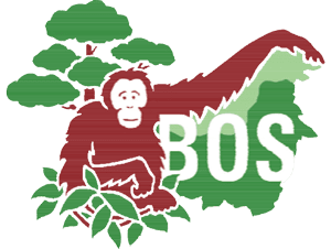 Bornean Orangutan Survival Foundation logo