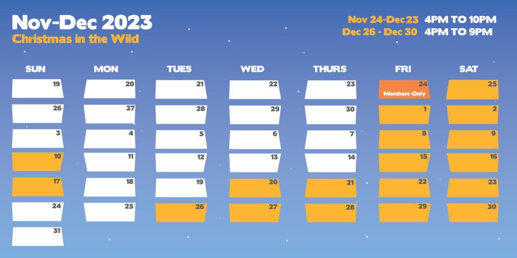 Christmas in the Wild - ZooTampa at Lowry Park