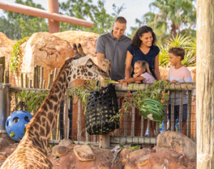 Admissions - ZooTampa at Lowry Park