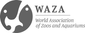 Global Conservation - ZooTampa at Lowry Park