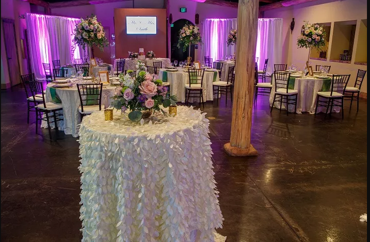 Explore The Zoo - ZooTampa at Lowry Park