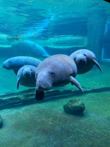 Facilities 4 Facilities - ZooTampa at Lowry Park