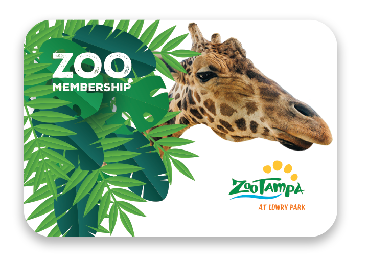 Membership - ZooTampa at Lowry Park