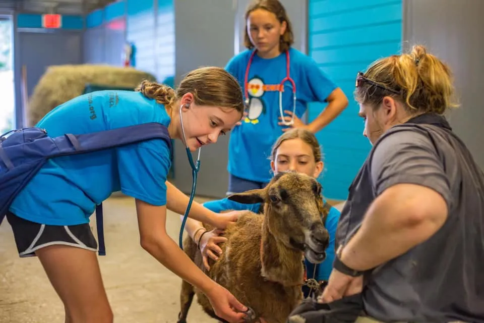 Summer Camps at ZooTampa